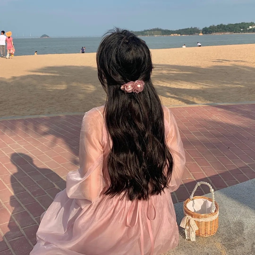 三只流浪猫